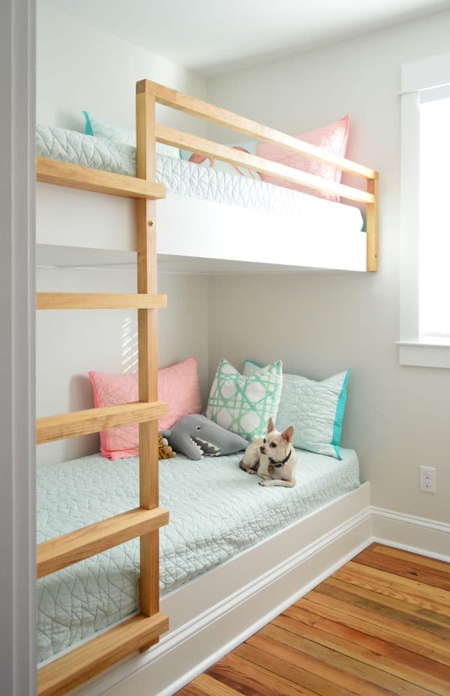 diy built in wall to wall bunk beds with chihuahua on bottom bunk