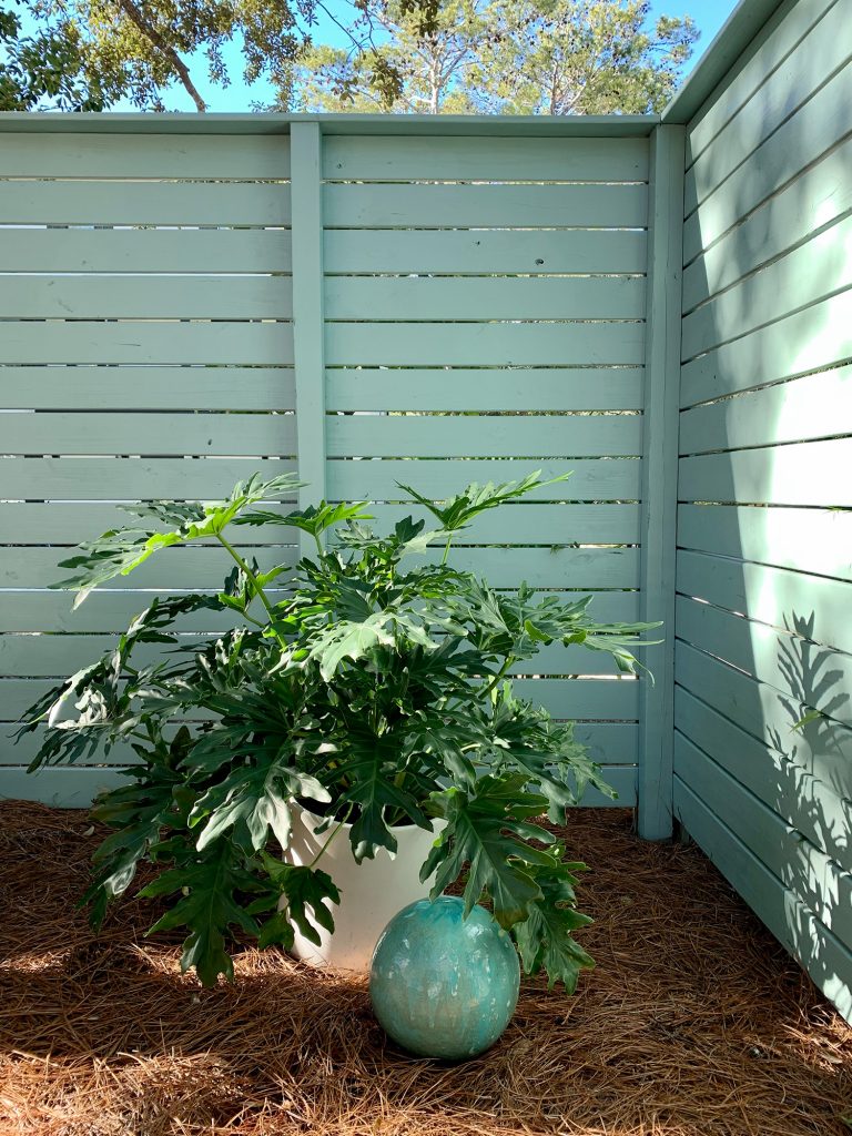 Large potted plant in the corner of side yard fence along with patina green gazing ball