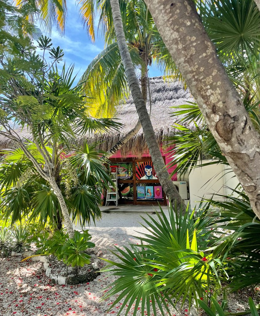 Shopping in Akumal Mexico With Lots of Palm Trees